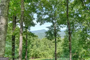 854 Frog Pond Rd, Hiawassee, GA 30546 - Photo 33