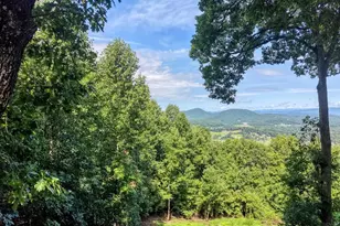 854 Frog Pond Rd, Hiawassee, GA 30546 - Photo 3