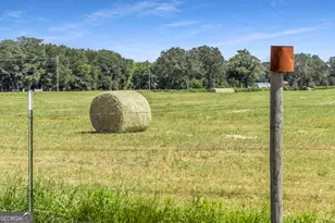 1110 US Hwy 280 W, Reidsville, GA 30453 - Photo 23