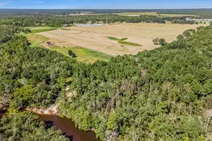 1110 US Hwy 280 W, Reidsville, GA 30453 - Photo 71