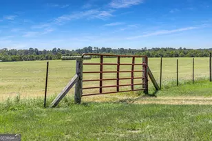 1110 US Hwy 280 W, Reidsville, GA 30453 - Photo 25