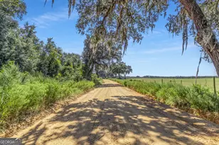 1110 US Hwy 280 W, Reidsville, GA 30453 - Photo 37