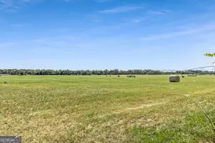 1110 US Hwy 280 W, Reidsville, GA 30453 - Photo 7