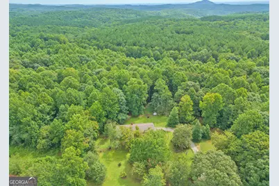 1524 Welcome Home Road, Mount Airy, GA 30563 - Photo 39