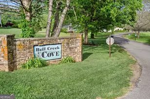275 Bell Creek Cove Rd, Hiawassee, GA 30546 - Photo 83
