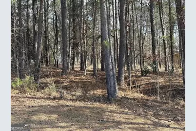 1191 Lakeview Court, Greensboro, GA 30642 - Photo 7