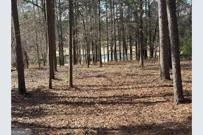 1191 Lakeview Court, Greensboro, GA 30642 - Photo 5