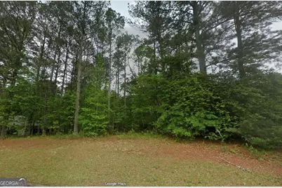 195 Farr Lake Drive, Tyrone, GA 30290 - Photo 1