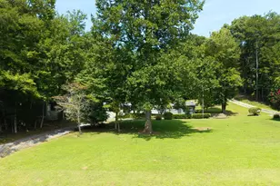 3514 Old Hwy 64 W, Warne, NC 28909 - Photo 61