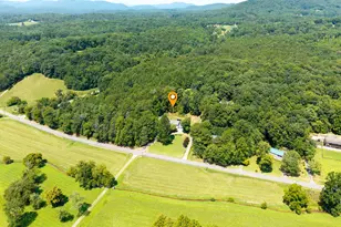 3514 Old Hwy 64 W, Warne, NC 28909 - Photo 65