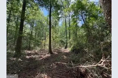 Lot 17 Smith Road, Thomaston, GA 30286 - Photo 1
