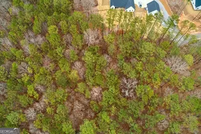 4243 Harmony Grove Church Road, Dallas, GA 30132 - Photo 3