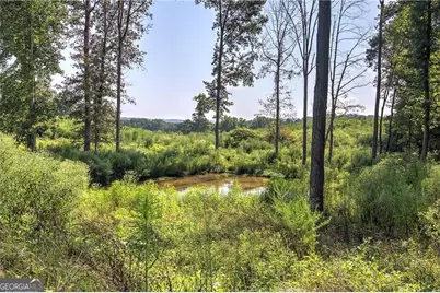 0 Pearl Johnson Road, Ranger, GA 30734 - Photo 9