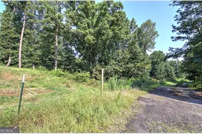 0 Pearl Johnson Road, Ranger, GA 30734 - Photo 5