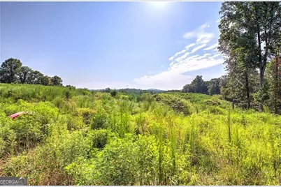 0 Pearl Johnson Road, Ranger, GA 30734 - Photo 17