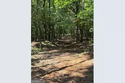0 Oak Valley Drive, Macon, GA 31217 - Photo 11