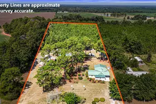 5605 N Hwy 33, Arabi, GA 31712 - Photo 55