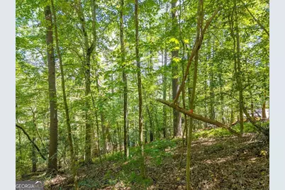 Lot 100 River Oaks Terrace, Ellijay, GA 30536 - Photo 9