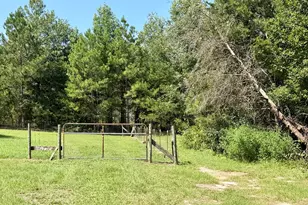 869 Orianna Rd, East Dublin, GA 31027 - Photo 13