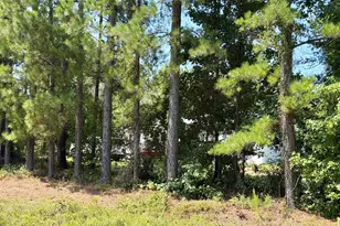 869 Orianna Rd, East Dublin, GA 31027 - Photo 7