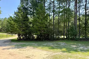 869 Orianna Rd, East Dublin, GA 31027 - Photo 5