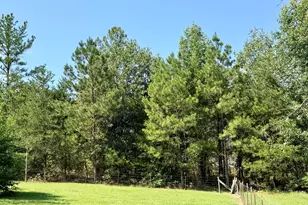 869 Orianna Rd, East Dublin, GA 31027 - Photo 11