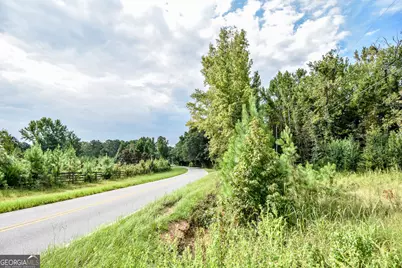 0 Etheridge Mill Road, Griffin, GA 30224 - Photo 3