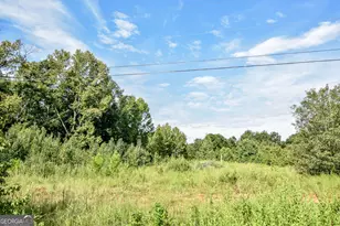 0 Etheridge Mill Rd, Griffin, GA 30224 - Photo 1