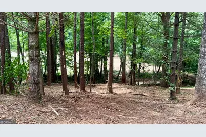10042 Doublehead Gap Road, Blue Ridge, GA 30513 - Photo 33