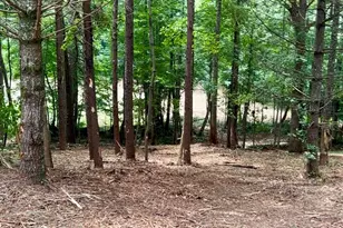 10042 Doublehead Gap Rd, Blue Ridge, GA 30513 - Photo 29