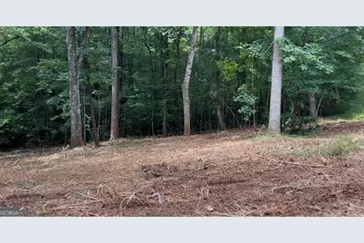 10042 Doublehead Gap Road, Blue Ridge, GA 30513 - Photo 31