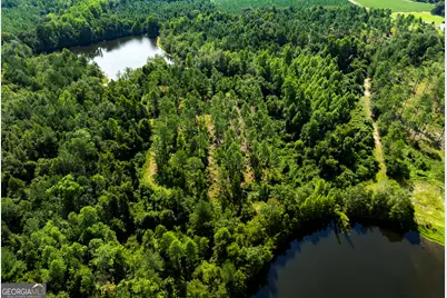 21201 N Hwy 23, Metter, GA 30439 - Photo 11
