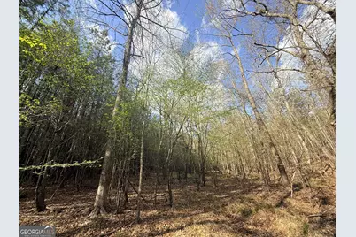 13 Hollis Norman Road, Washington, GA 30673 - Photo 19