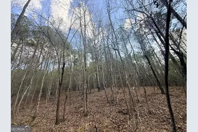 13 Hollis Norman Road, Washington, GA 30673 - Photo 27