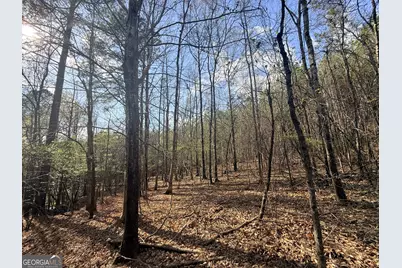 13 Hollis Norman Road, Washington, GA 30673 - Photo 29