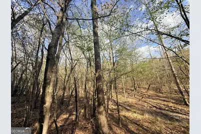 13 Hollis Norman Road, Washington, GA 30673 - Photo 35