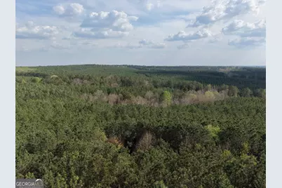 13 Hollis Norman Road, Washington, GA 30673 - Photo 9