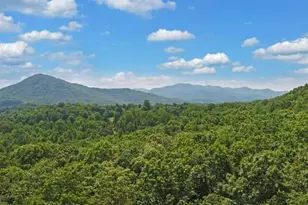 581 Ivy Knob Ln, Hayesville, NC 28904 - Photo 57