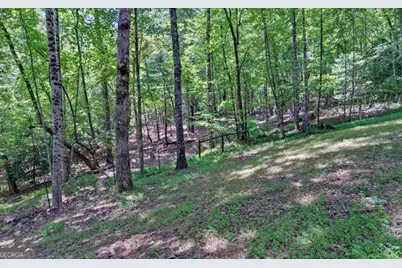 581 Ivy Knob Lane, Hayesville, NC 28904 - Photo 49