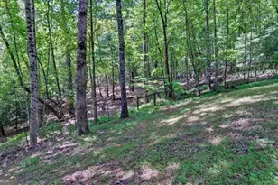 581 Ivy Knob Ln, Hayesville, NC 28904 - Photo 49