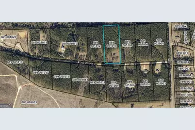 106 Lisa Woods Lane, Eatonton, GA 31024 - Photo 5