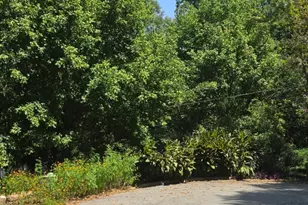 3407 Lawrence St, Scottdale, GA 30079 - Photo 1