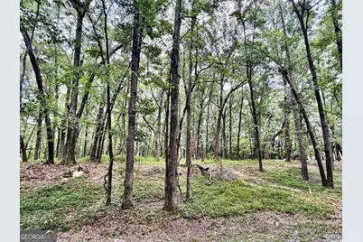 43 Rivermist Rd Road, Juliette, GA 31046 - Photo 7