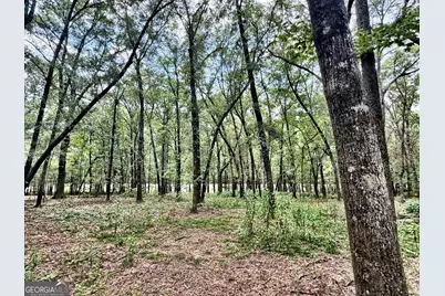 43 Rivermist Rd Road, Juliette, GA 31046 - Photo 15