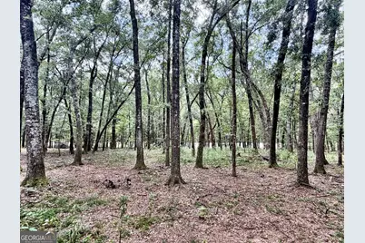 43 Rivermist Rd Road, Juliette, GA 31046 - Photo 13