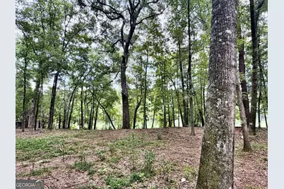 43 Rivermist Rd Road, Juliette, GA 31046 - Photo 11