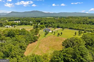 385 Wilson Rd, Chatsworth, GA 30705 - Photo 59