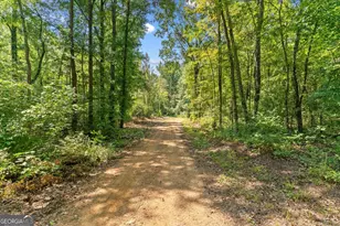 385 Wilson Rd, Chatsworth, GA 30705 - Photo 55