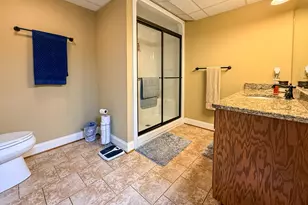 351 Shoals Ln, Clarkesville, GA 30523 - Photo 57