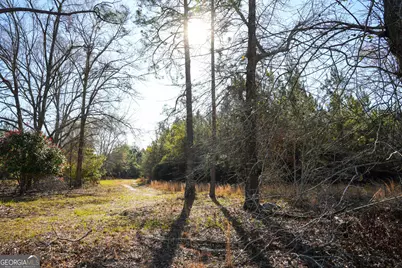 0 Clifton Road, Statesboro, GA 30458 - Photo 5